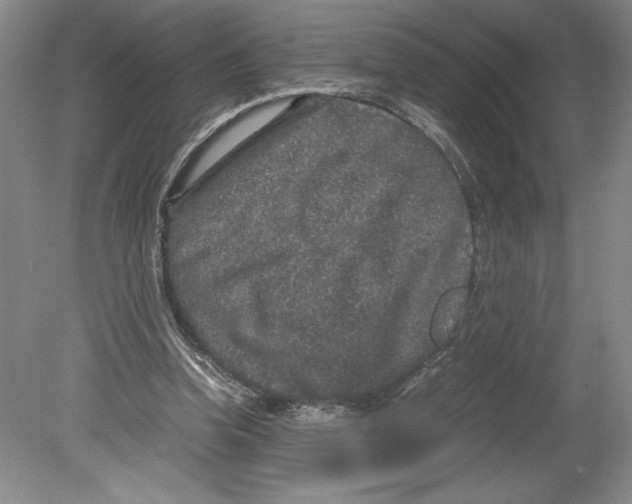 X0000078840346200612111601