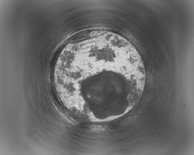 X0000078840347200612111601