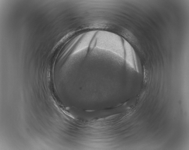 X0000078840348200612111601