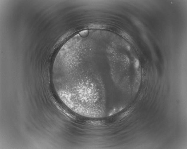 X0000078840349200612111601