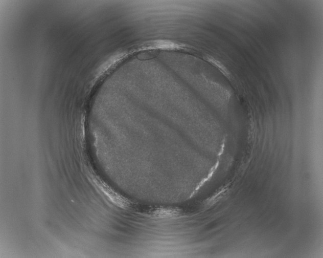 X0000078840350200612111601