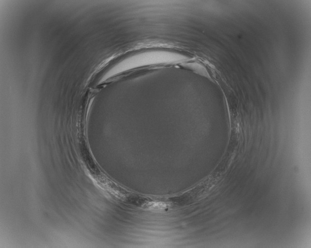 X0000078840352200612111601