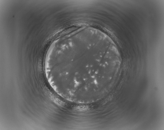 X0000078840353200612111601