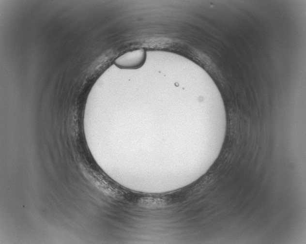 X0000078840354200612111601