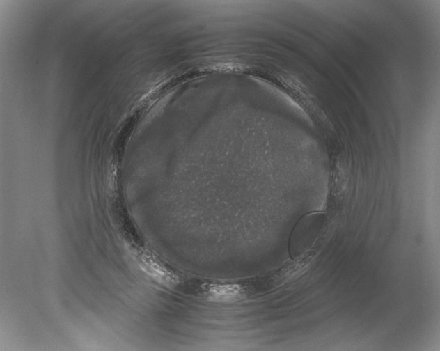 X0000078840355200612111601