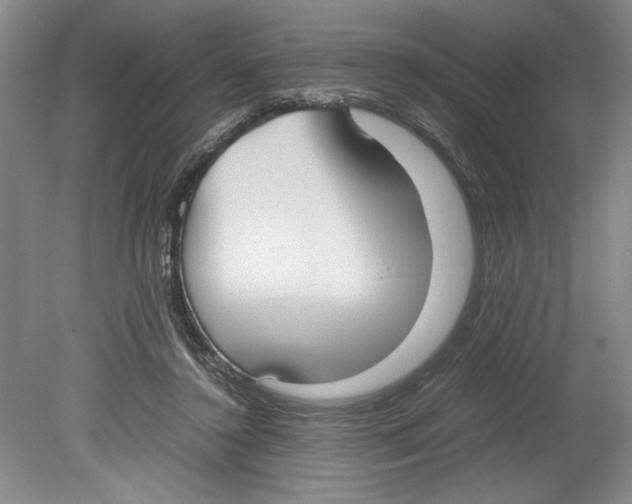 X0000078840356200612111601