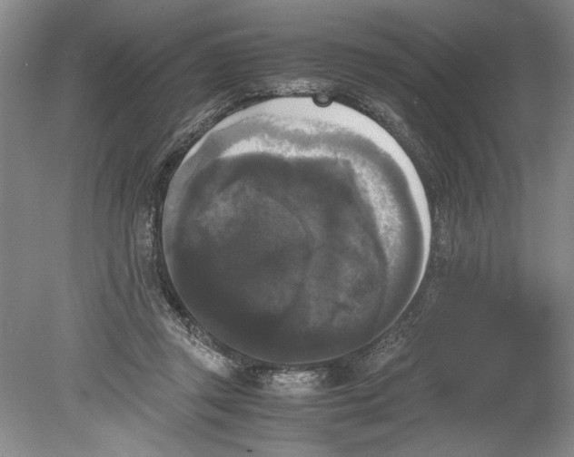 X0000078840357200612111601