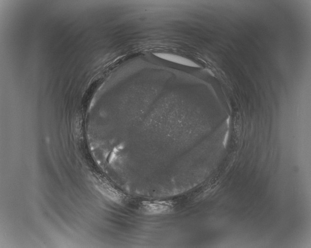 X0000078840359200612111601