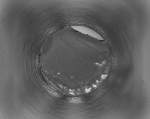 X0000078840361200612111601