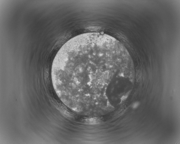 X0000078840365200612111601