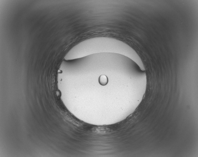 X0000078840372200612111601