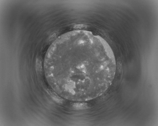 X0000078840375200612111602