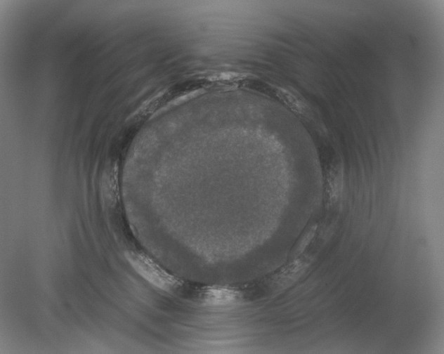 X0000078840376200612111602