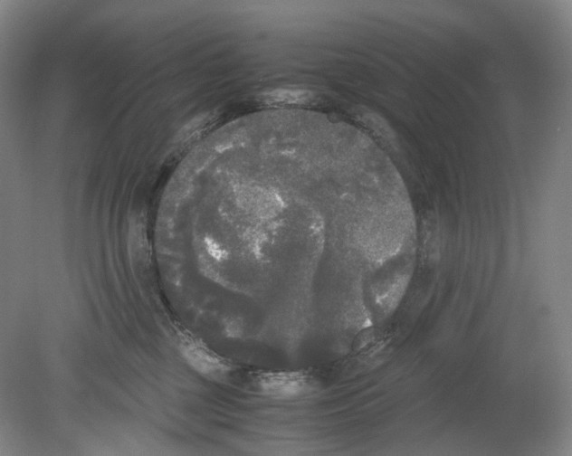 X0000078840377200612111602