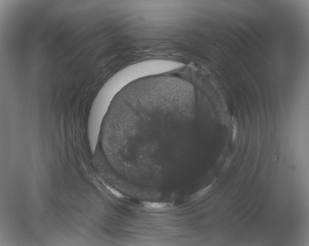 X0000078840380200612111602