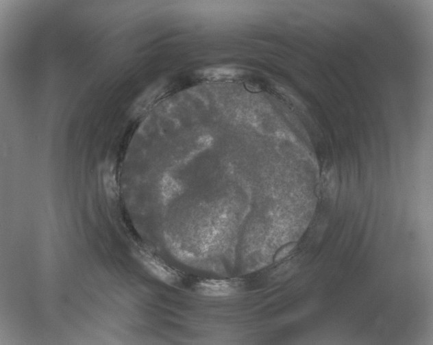 X0000078840381200612111602