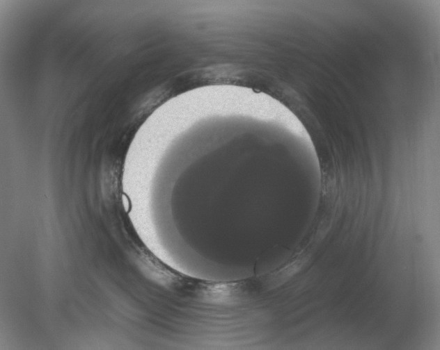 X0000078840382200612111602