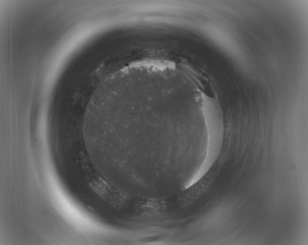 X0000078840383200612111602