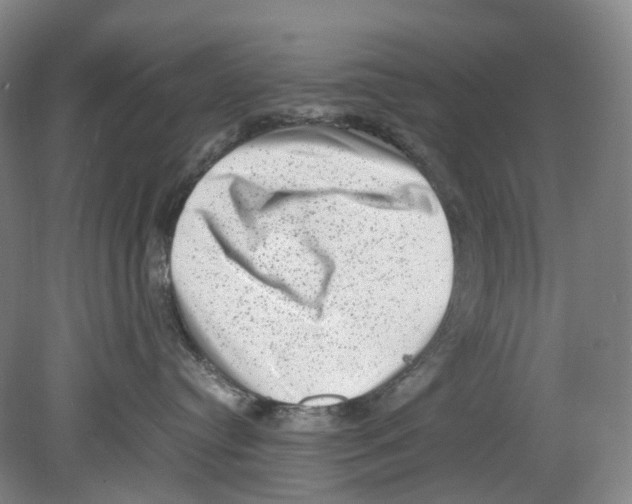 X0000078840384200612111602