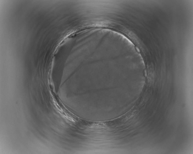 X0000078840386200612111601