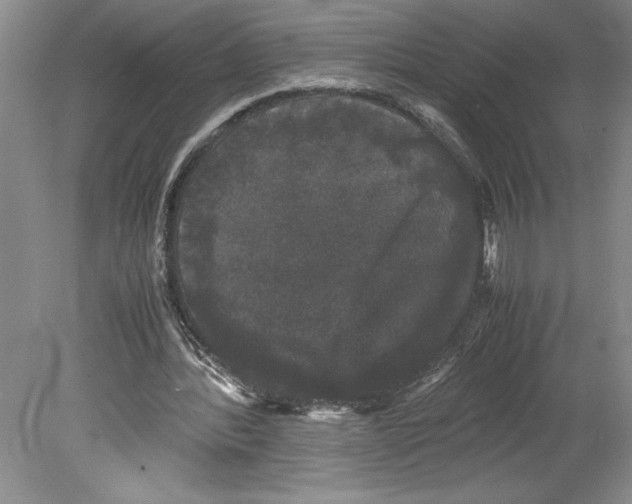 X0000078840388200612111601