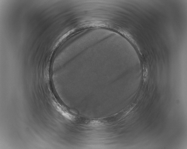 X0000078840390200612111601