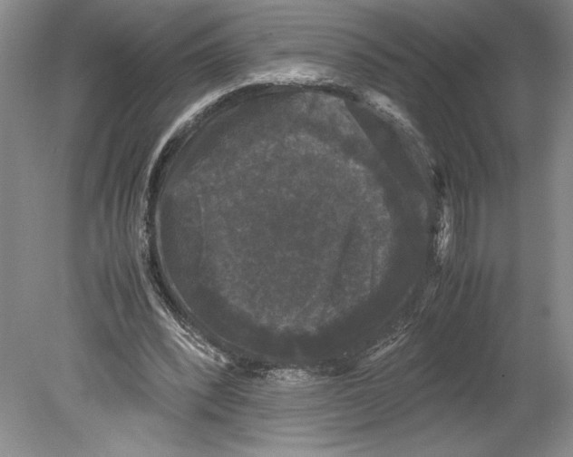 X0000078840392200612111601