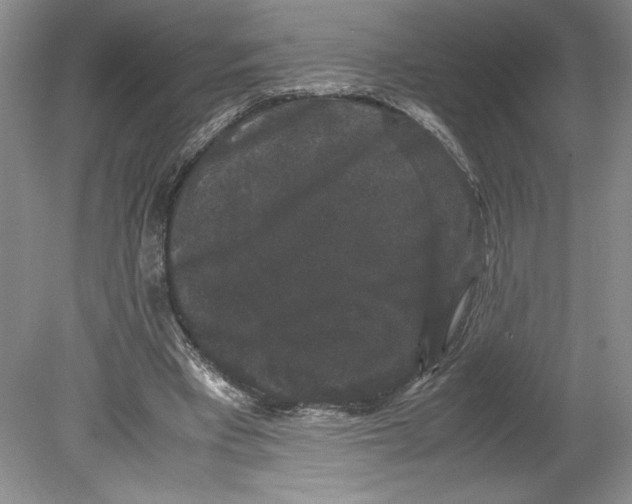 X0000078840393200612111601