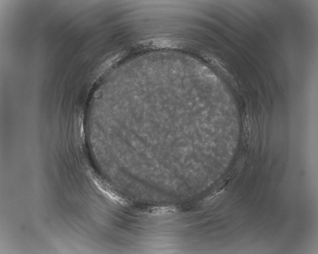 X0000078840398200612111601