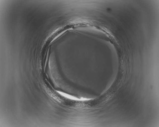 X0000078840399200612111601