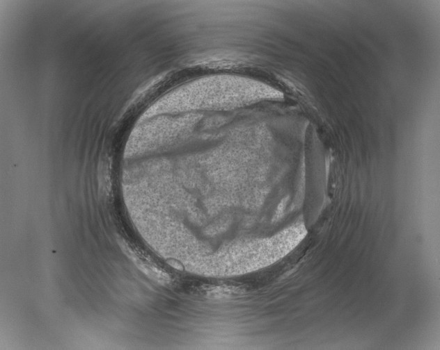 X0000078840400200612111601