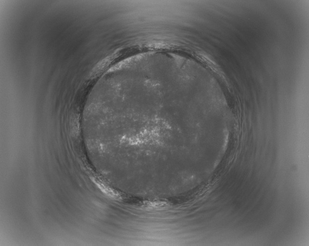 X0000078840401200612111601