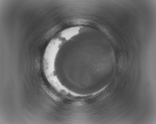 X0000078840402200612111601