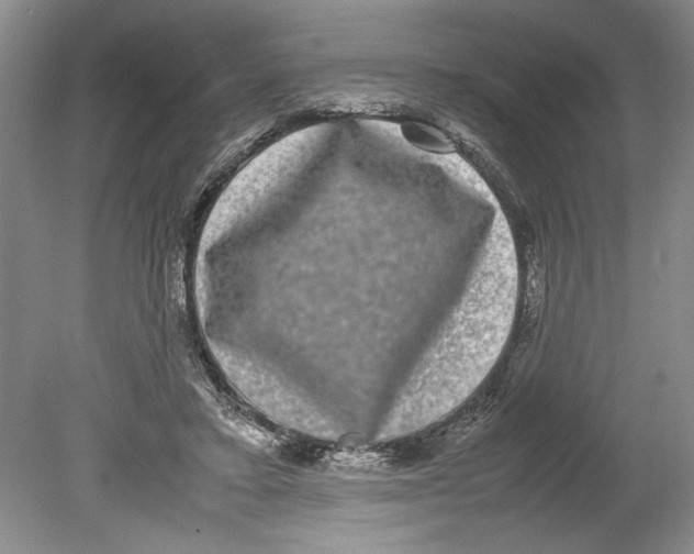 X0000078840403200612111601