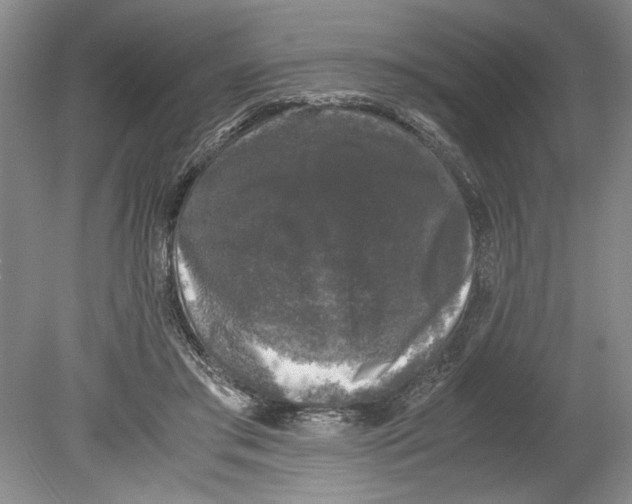 X0000078840405200612111601