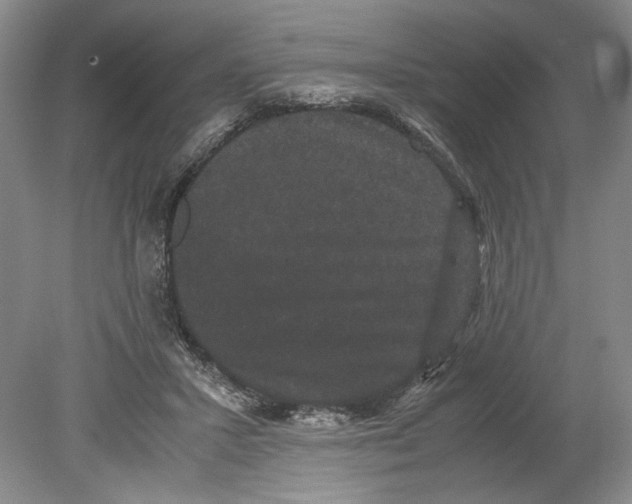 X0000078840407200612111600