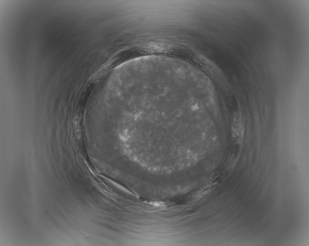 X0000078840409200612111600