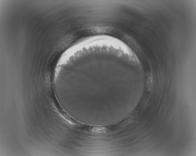 X0000078840410200612111600