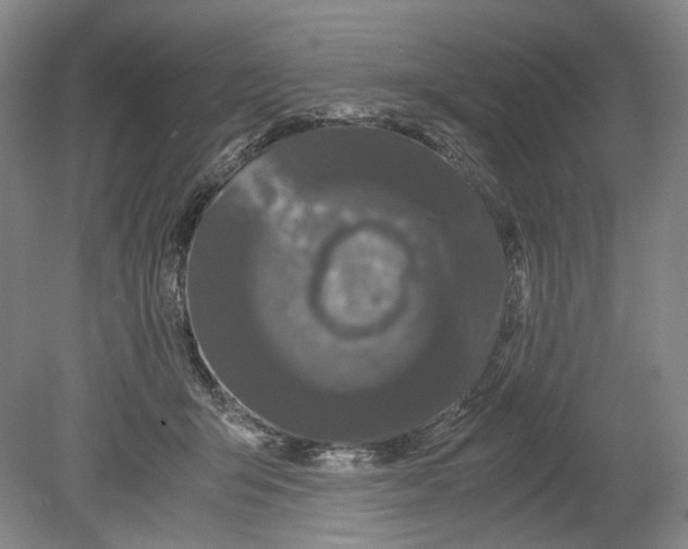 X0000078840415200612111600