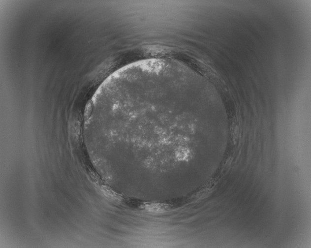 X0000078840417200612111600