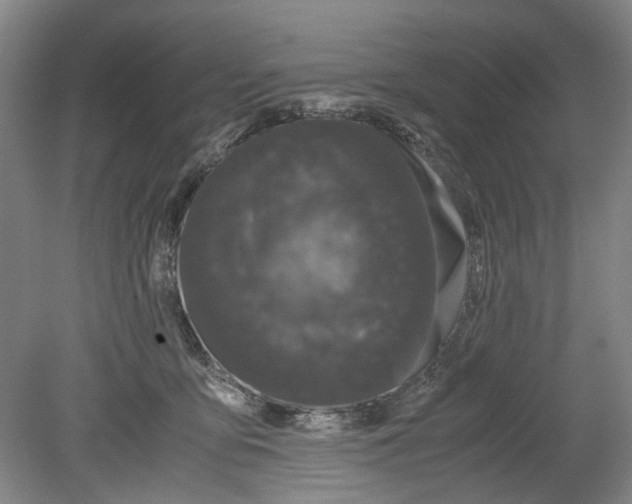 X0000078840419200612111600