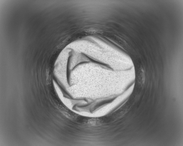 X0000078840420200612111600