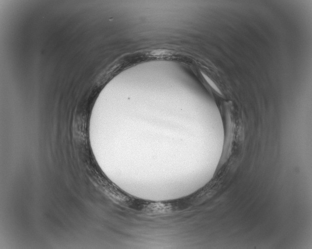 X0000078840421200612111600