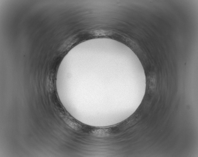 X0000078840422200612111600