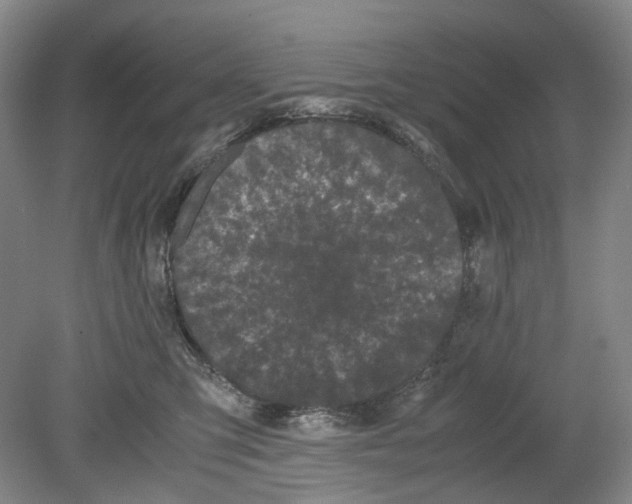 X0000078840423200612111600