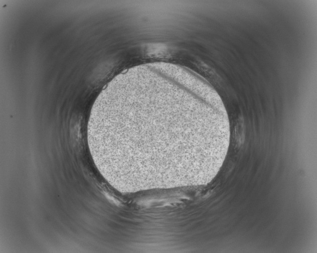 X0000078840424200612111600