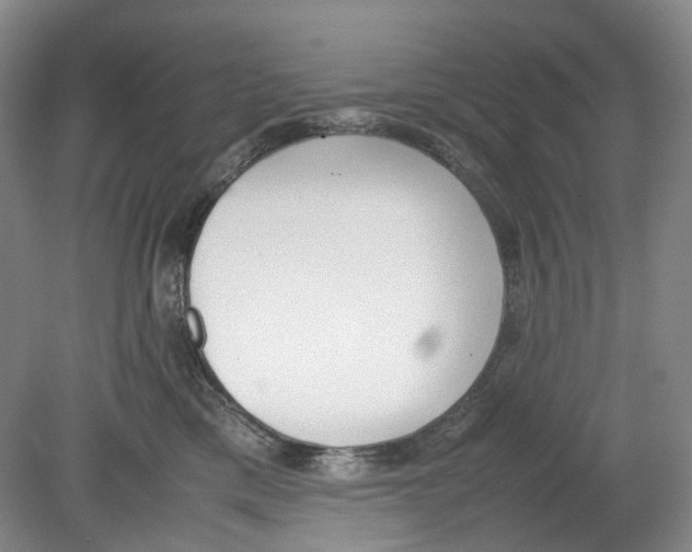 X0000078840425200612111600