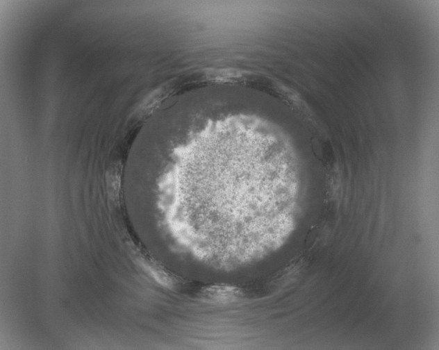 X0000078840427200612111600