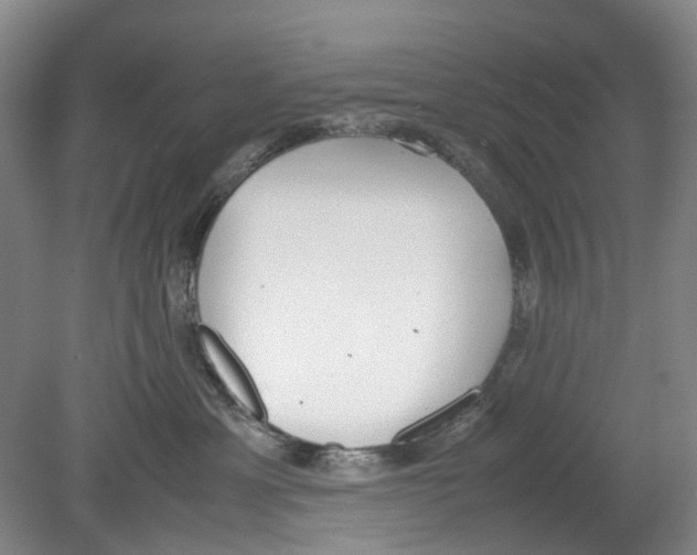 X0000078840429200612111600