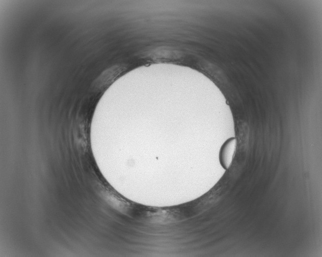 X0000078840430200612111600